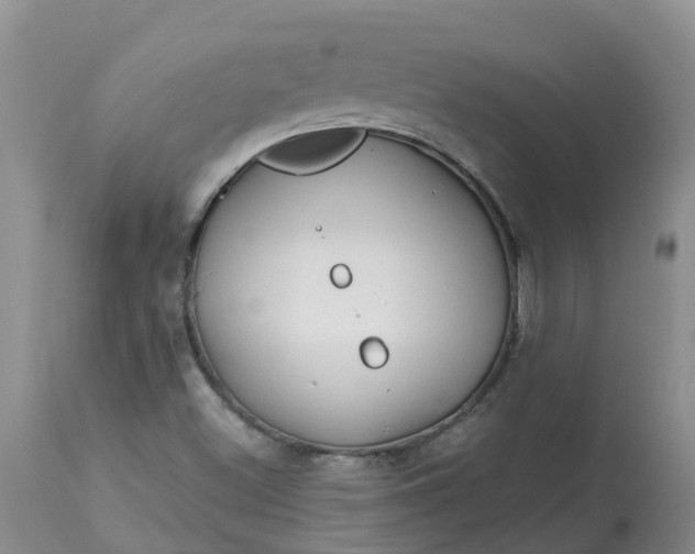 X0000113121500200909111126