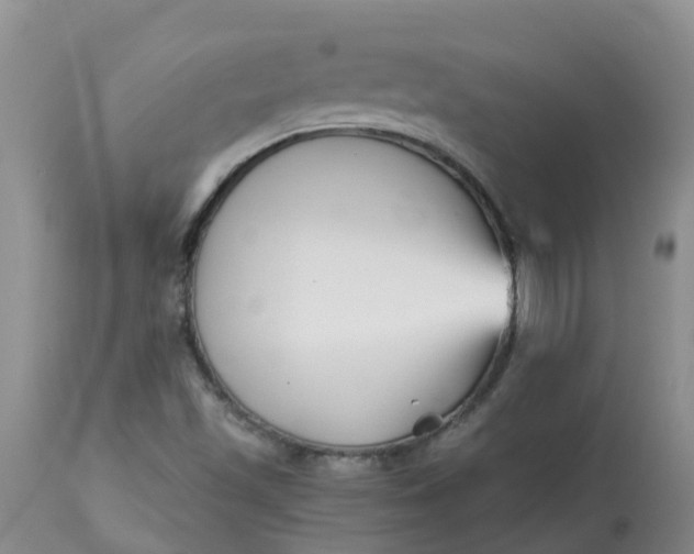 X0000113121501200909111126