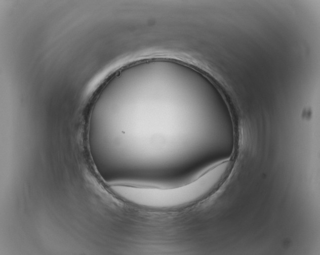 X0000113121502200909111126