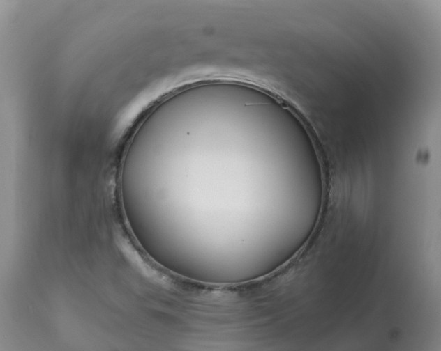 X0000113121503200909111126