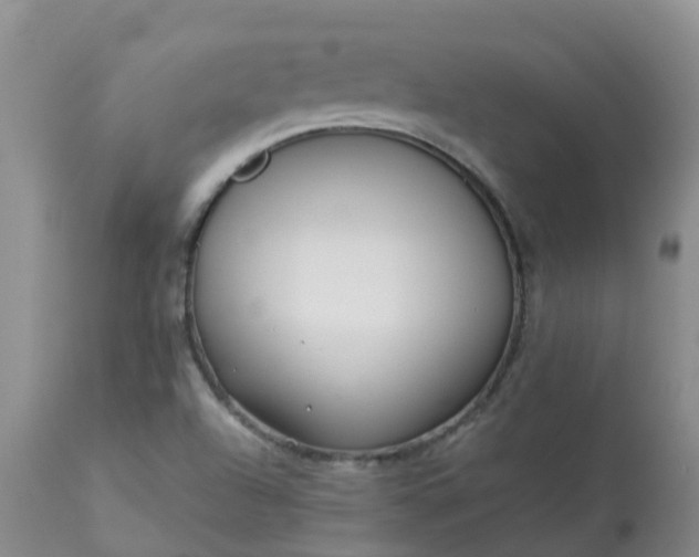 X0000113121504200909111126