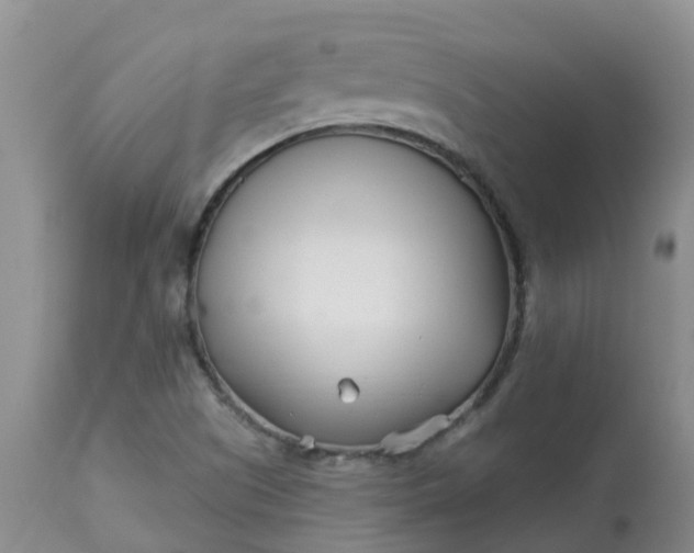 X0000113121505200909111126