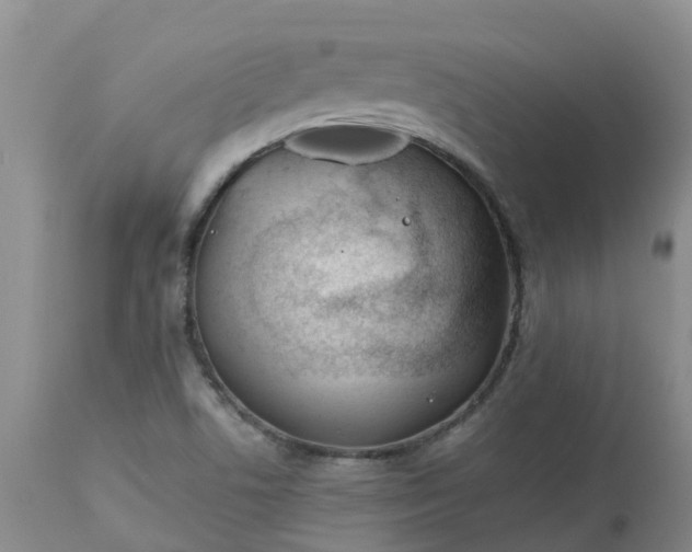 X0000113121506200909111126