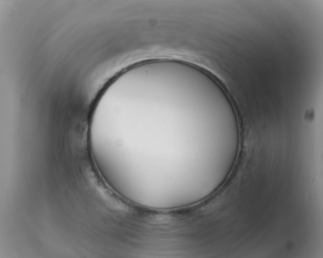 X0000113121507200909111126