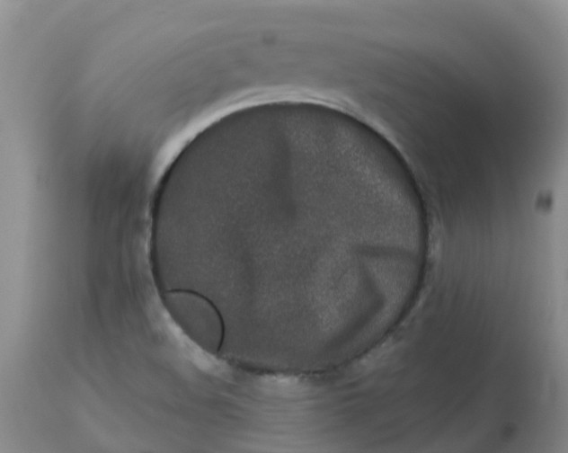 X0000113121508200909111126