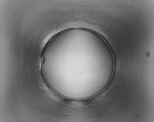 X0000113121509200909111126