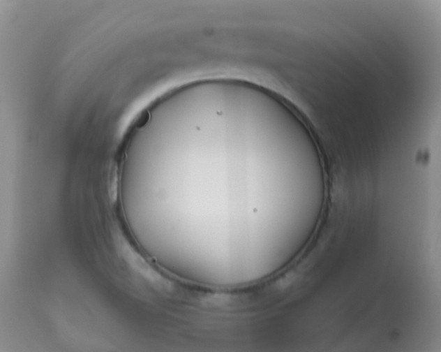 X0000113121510200909111126