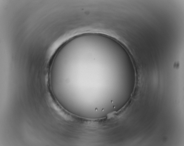 X0000113121511200909111126