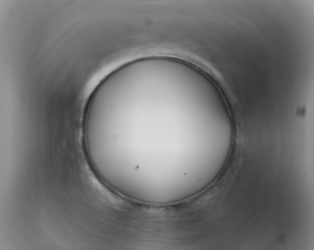 X0000113121512200909111126