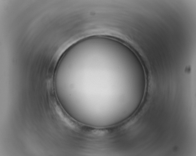 X0000113121513200909111126