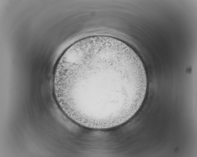 X0000113121514200909111126