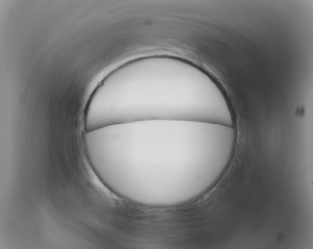 X0000113121516200909111126