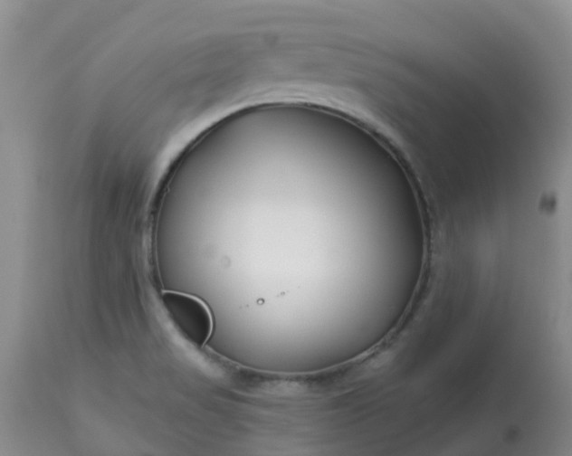 X0000113121517200909111126