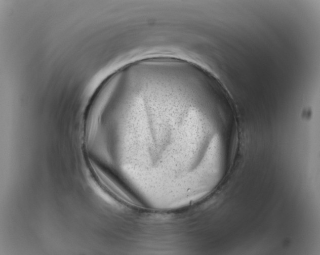 X0000113121519200909111126