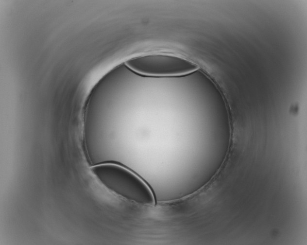 X0000113121520200909111126