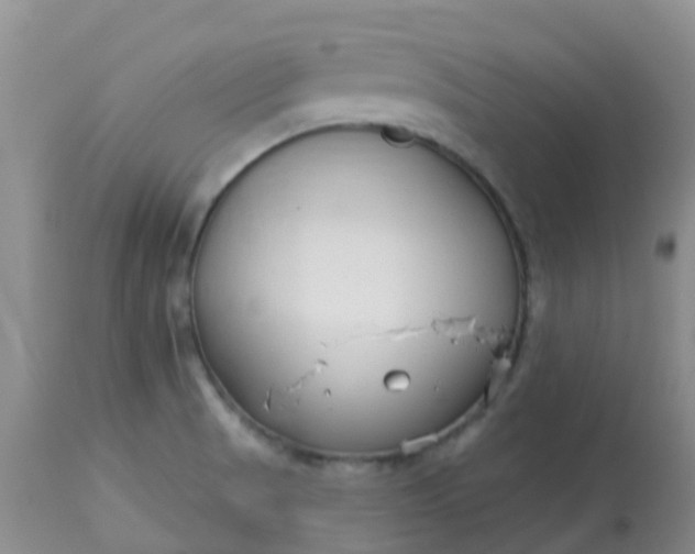 X0000113121521200909111126