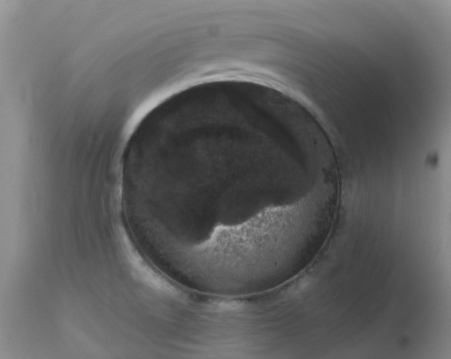 X0000113121522200909111126