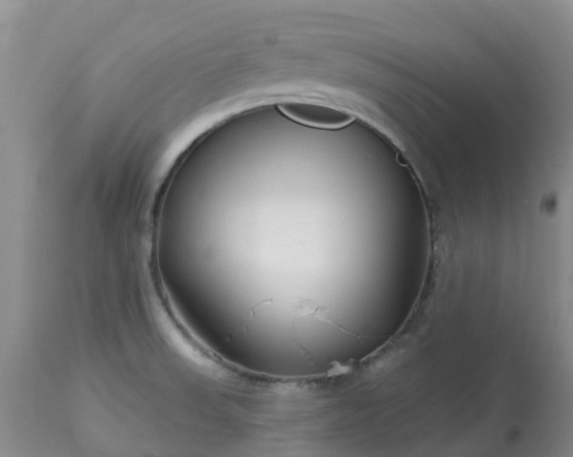 X0000113121523200909111126