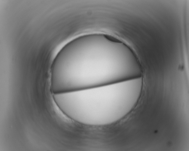 X0000113121524200909111126