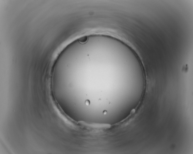 X0000113121525200909111126