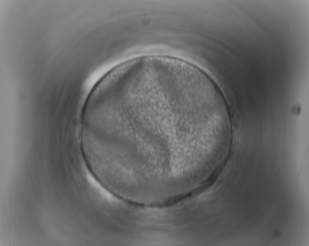 X0000113121527200909111127