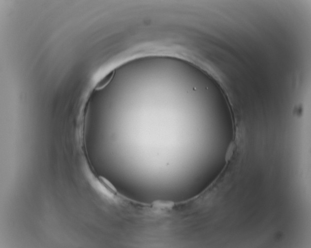 X0000113121528200909111127