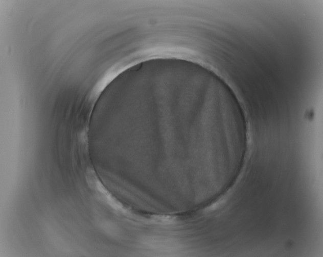 X0000113121529200909111127