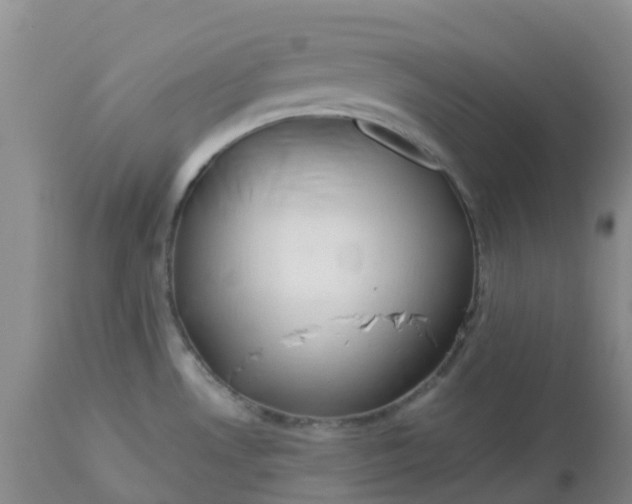 X0000113121530200909111127