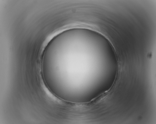 X0000113121531200909111127