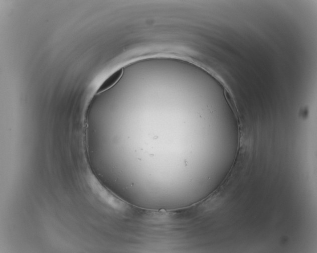 X0000113121532200909111127