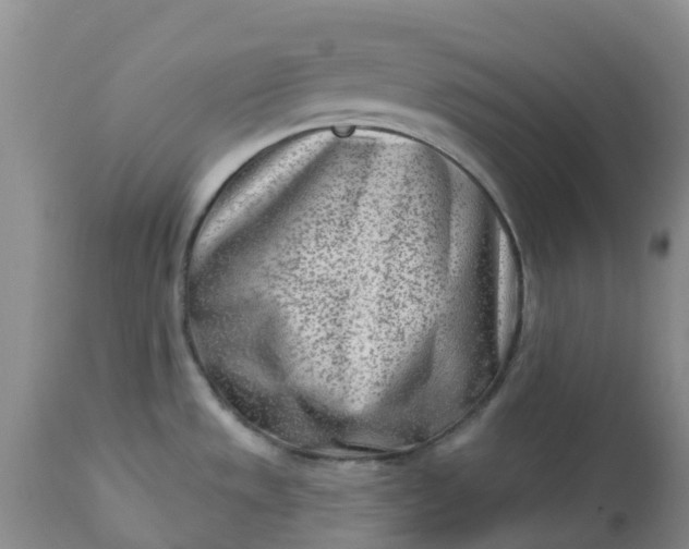 X0000113121533200909111127