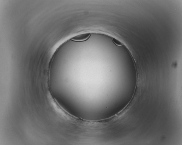 X0000113121534200909111127