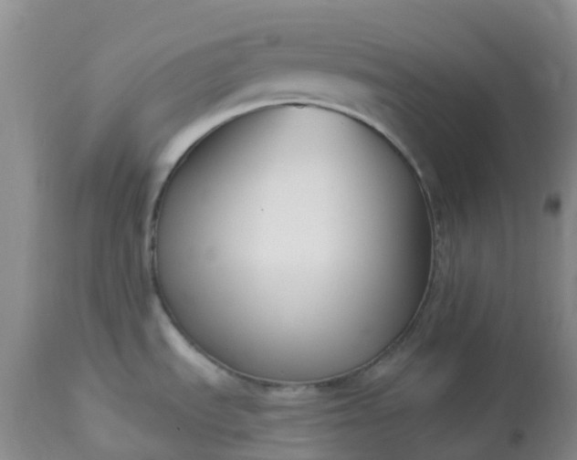 X0000113121535200909111127