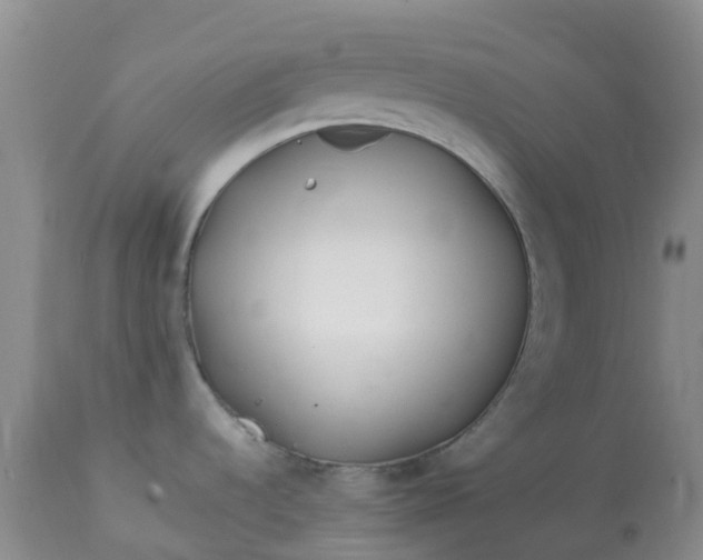 X0000113121536200909111127