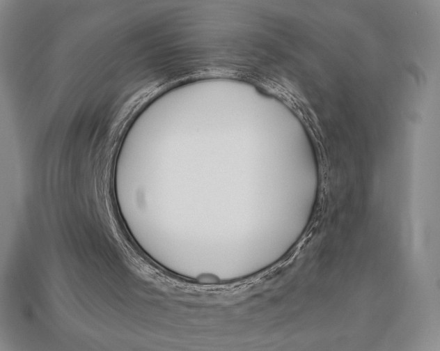 X0000113120001200909181658