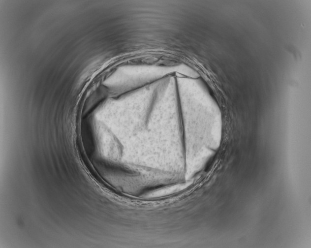 X0000113120002200909181658