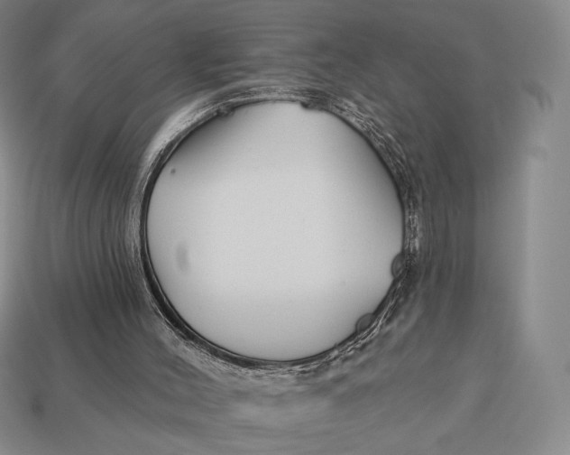 X0000113120004200909181658