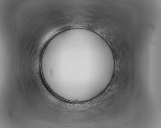 X0000113120005200909181658
