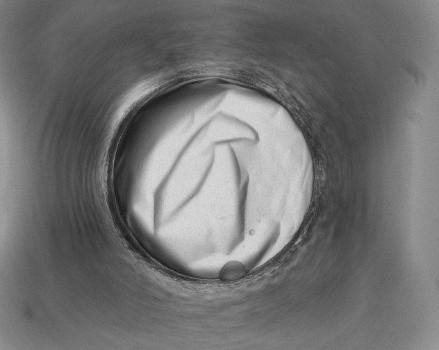 X0000113120006200909181658