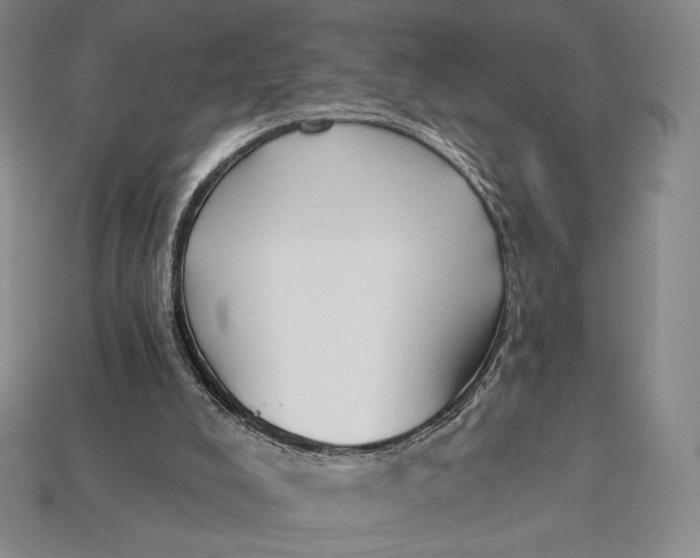 X0000113120008200909181658