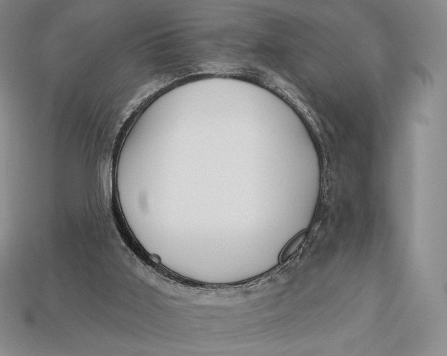 X0000113120011200909181658