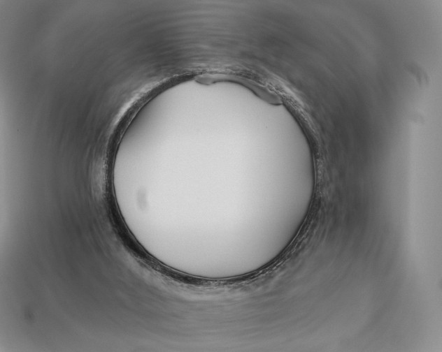 X0000113120012200909181658