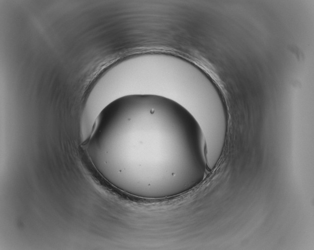 X0000113120013200909181658