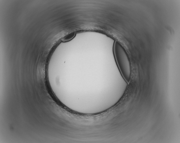 X0000113120015200909181658