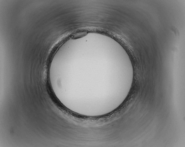 X0000113120016200909181658