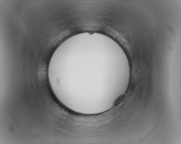X0000113120017200909181658