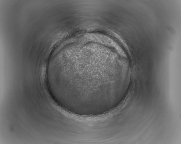 X0000113120018200909181658