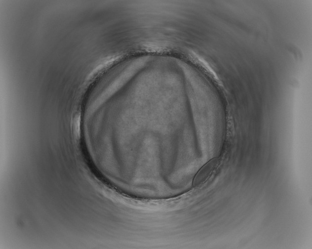 X0000113120019200909181658