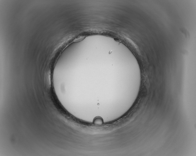 X0000113120020200909181658