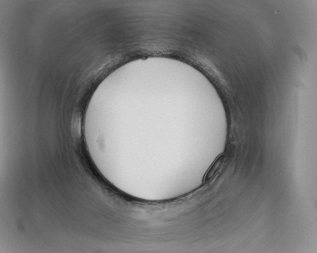 X0000113120021200909181658